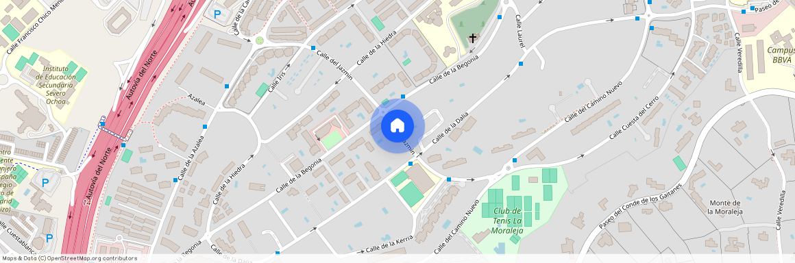 El Soto de la Moraleja, La Moraleja