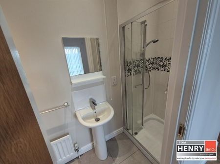 22 Calendine Wilds, Tamnamore, Dungannon, BT71 6FQ - Photo 2