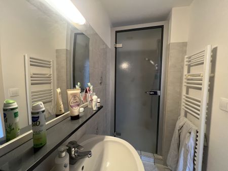 NANCY / SECTEUR PLACE DES VOSGES : APPARTEMENT T2 MEUBLÉ - Photo 5
