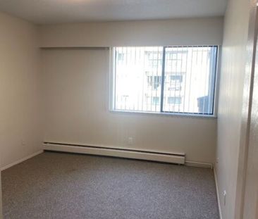 WINDSOR 1 BEDROOM * 1 Month Free! - Photo 3