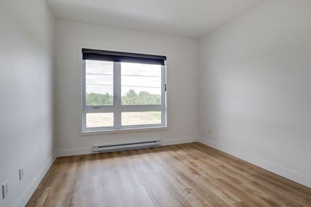 55, rue Michel-Robidoux #301, East-Angus - Photo 5