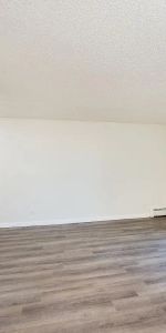 Parkview Estates Apartments — Studio - Photo 3
