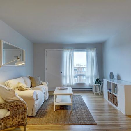 Appartement 4 ½ à louer Sainte-Foy / Sillery mai 2026 - Photo 4