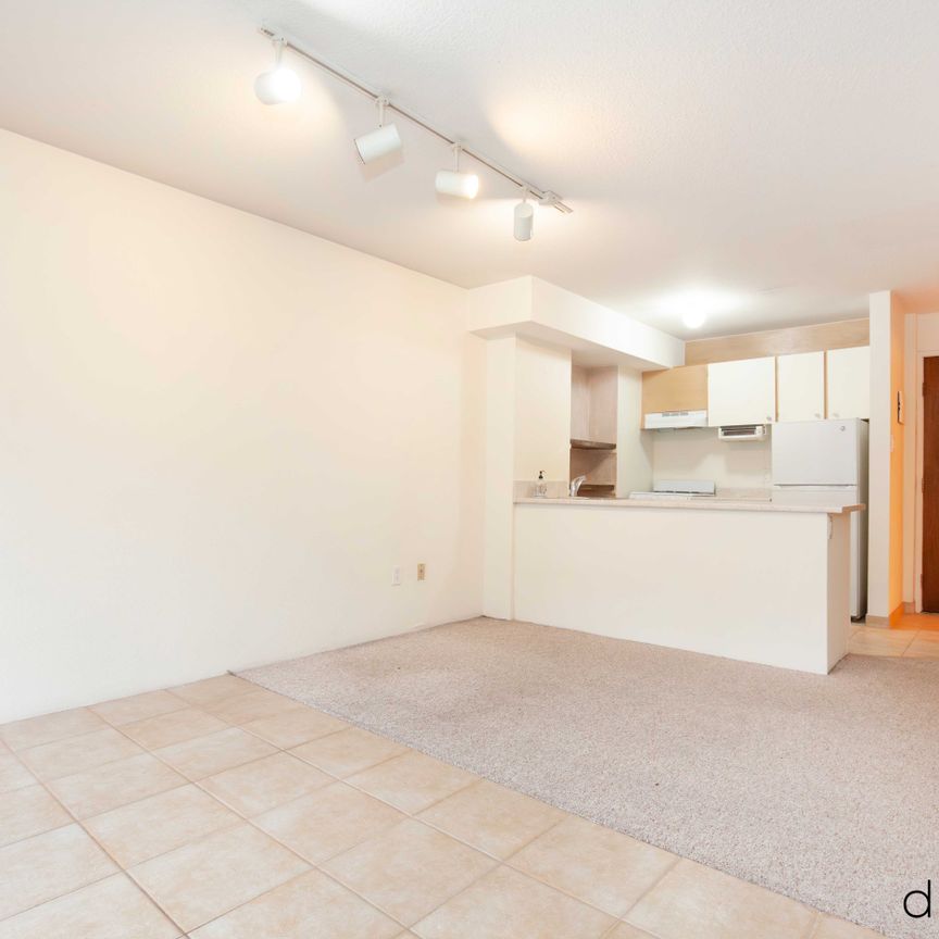 1330 Burrard St #213 - Photo 1