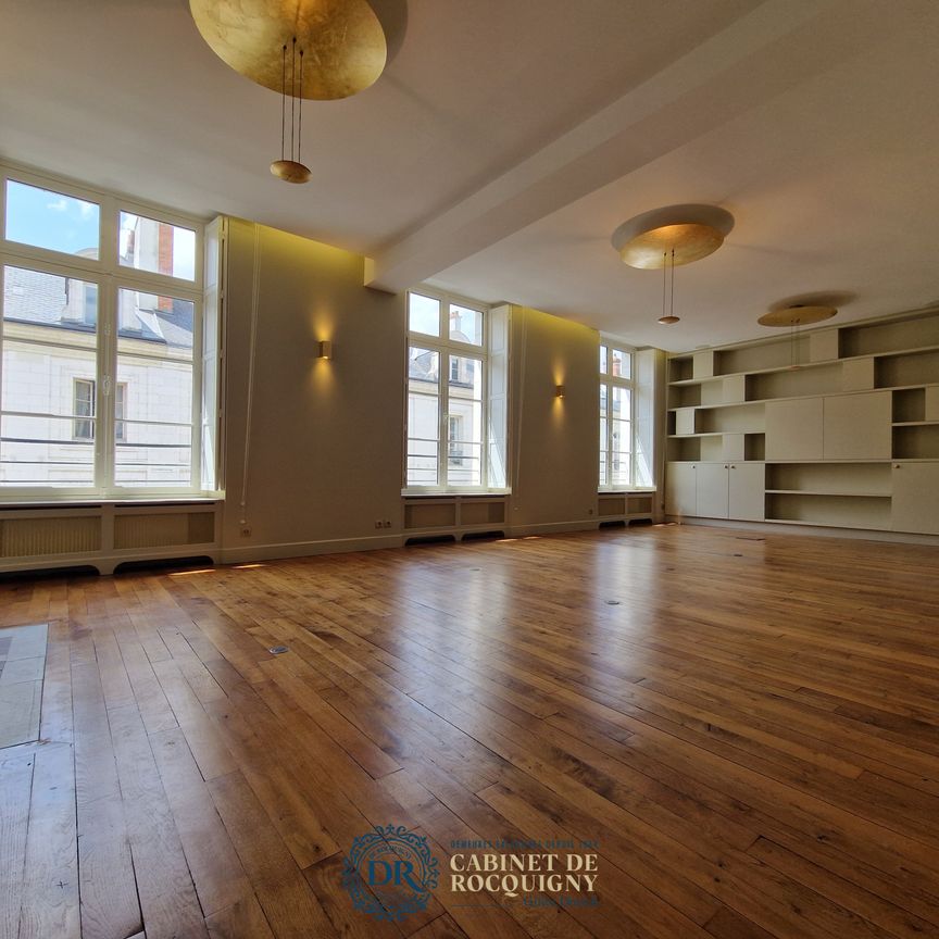 Location Appartement 6 pièces 223m² ORLEANS 45000 - Photo 1