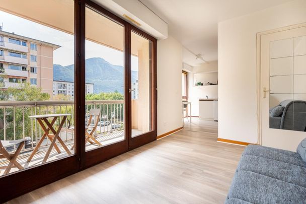 Location Appartement 1 pièce Meublé 21m² ANNECY 74000 - Photo 1