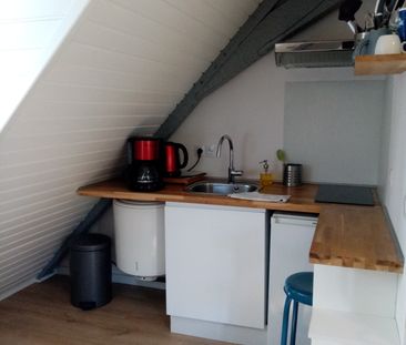 Location Appartement 1 pièce 10m² STRASBOURG 67000 - Photo 3