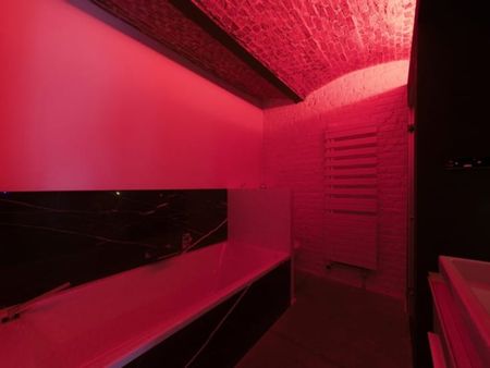 Loft te huur - Photo 5