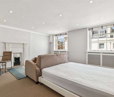 PET FRIENDLY. FULLY MANAGED BY SAVILLS - Recently renovated studio ... - Photo 3