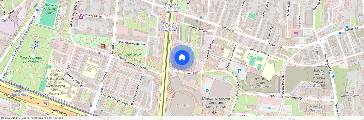 Juliana Ordona 22a, Katowice, Koszutka