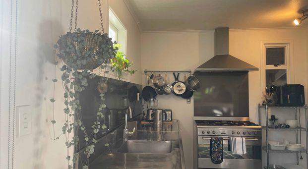 Cutie on Koha - Photo 1