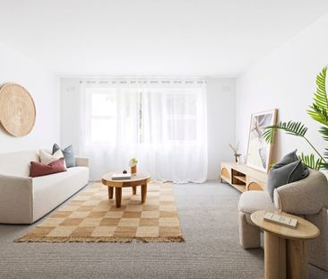 Bright two-bedroom apartment in the heart of Freshwater - Photo 1