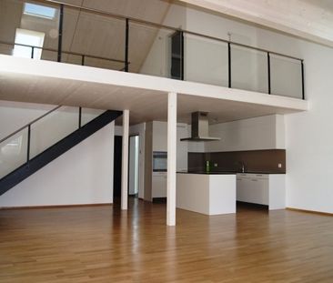 Appartement lumineux et spacieux (226 m2) avec galerie - Photo 3