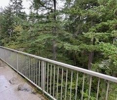 Spacious Top Floor 1 bedroom Condo North Nanaimo - Photo 4