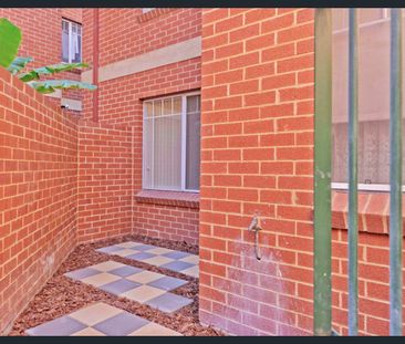 HUGE Courtyard & Outstanding Location - Photo 4