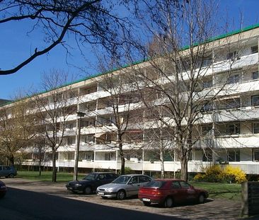 Ruhige Wohnung sucht Nachmieter ab Mai 2026 - Photo 1