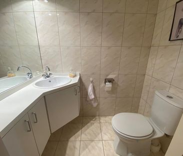 Meander 151 - Photo 5