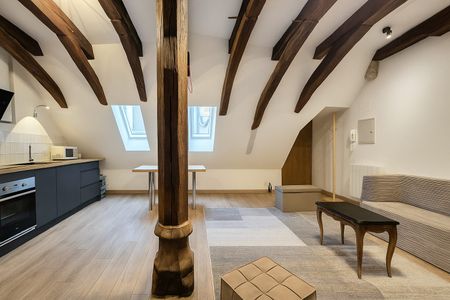 Location Appartement 1 pièce 28m² BEAUNE 21200 - Photo 2