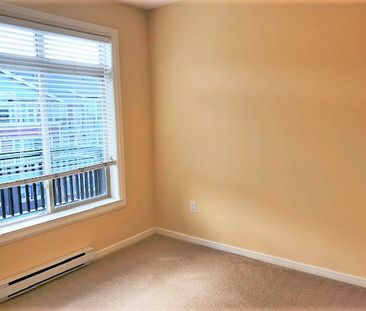 CAROLINE APTS - 404 - CA404 - Photo 4