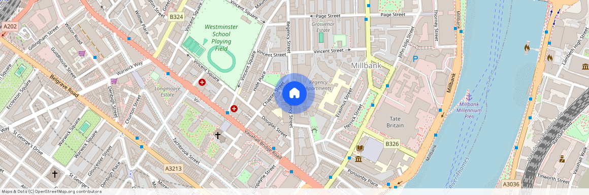 Regency Street, London