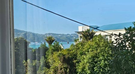 Oriental Bay - Photo 2