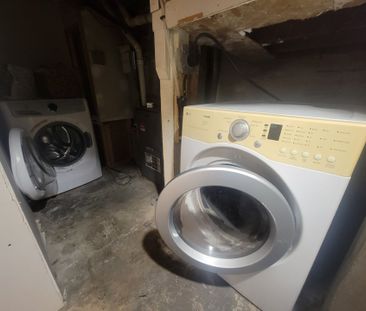 For Lease - 127 Elmwood Avenue Unit# BASEMENT, Cambridge, Ontario - Photo 6