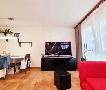 Appartamento Lugano 2.5 locali con vista - Foto 2