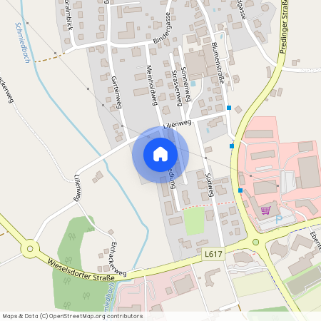 Erlensiedlung 4, 8504, Preding