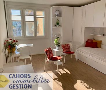 Location Appartement 1 pièce 24m² CAHORS 46000 - Photo 2