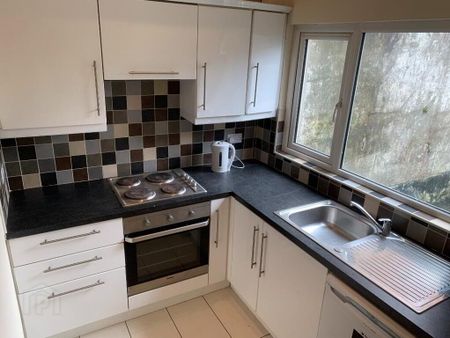 41 Donegal Avenue, Belfast, BT12 6LS - Photo 4