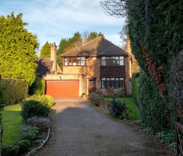 Fairefield Crescent, Glenfield - Photo 1