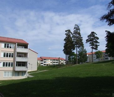 Humlestigen 14 - Photo 2