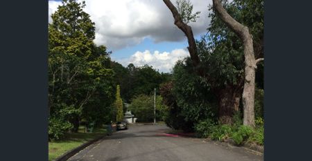 Granny flat apartment $670 per wk + $50 per wk for utility & internet - Photo 2