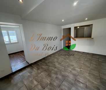 Location Appartement 3 pièces 49m² CHANAS 38150 - Photo 6