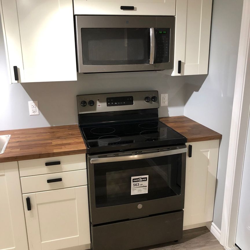 For Lease - 22 Patterson Avenue Unit# Lower, Brantford, Ontario - Photo 1