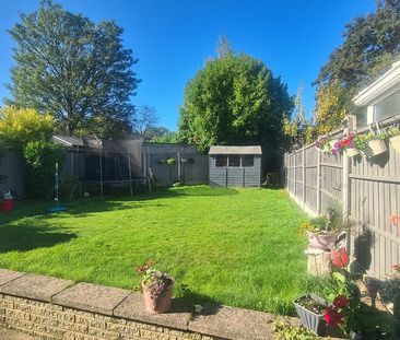 3 bedroom semi-detached house to rent - Photo 1