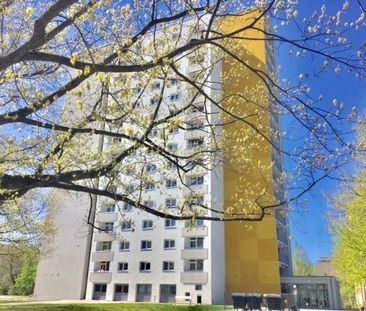 Stadtwohnung direkt an der Universitätsklinik gelegen - Foto 1