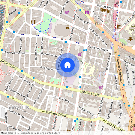 242 Riley Street, NSW 2010, Darlinghurst