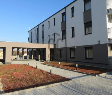 Kiadó új építésű lakás - Érd - Photo 1