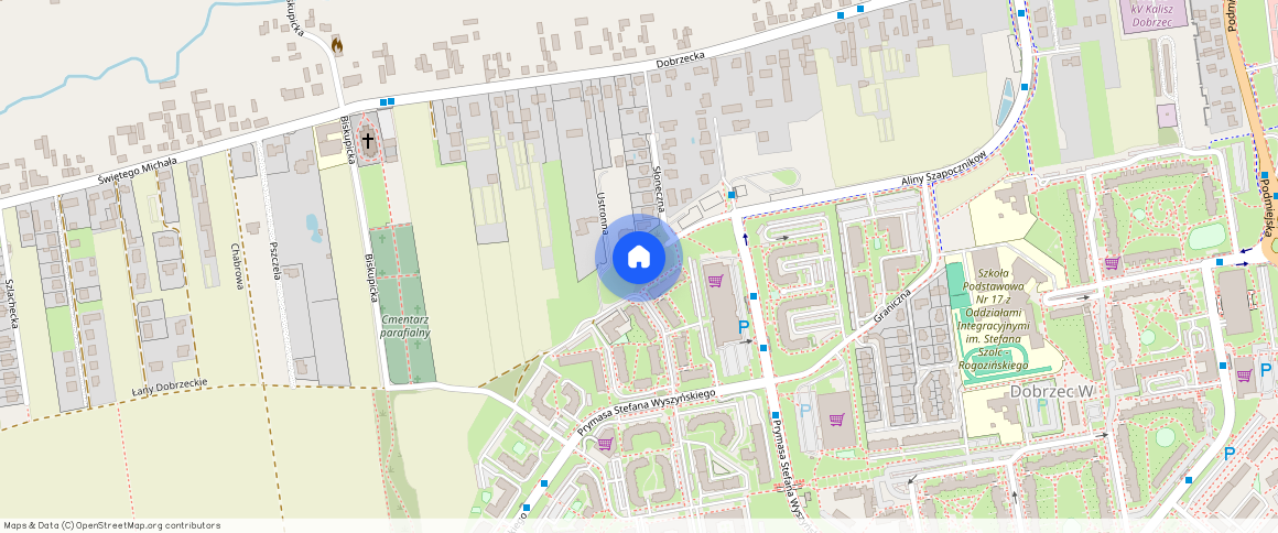 ul. Aliny Szapocznikow 10, Kalisz