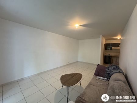 Location Appartement 1 pièce 33m² ALBI 81000 - Photo 3