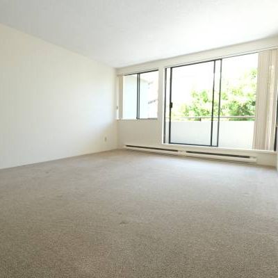 One Bedroom Apartment for Rent Next to Seawall - Photo 1