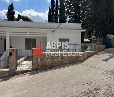 Μονοκατοικία, προς ενοικίαση Κηφισιά Κωδικός 2359860 - Photo 6