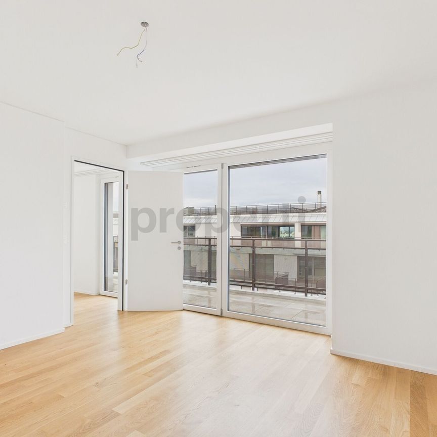 Modern 3.5-room attic apartment in Basel - Photo 1