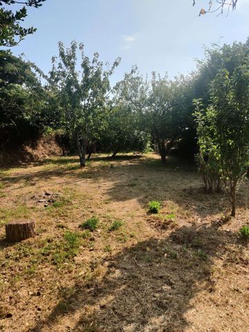 PLEASE EMAIL TO REGISTER YOUR INTEREST - Charming two bedroom, semi-detached Lodge House currenty undergoing refurbishment in a rural location within 10 miles o - Photo 4