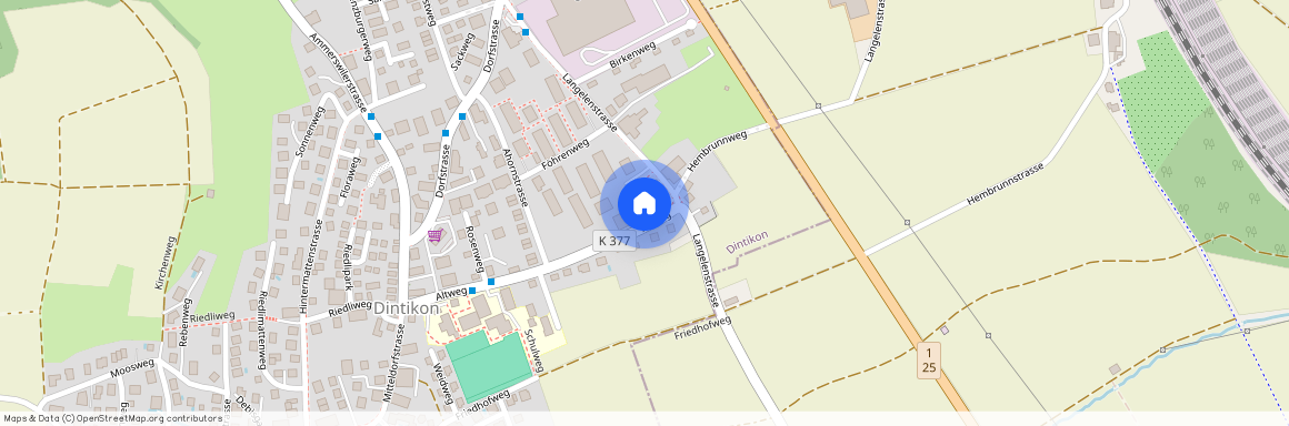 Langelenstrasse 13, 5606 Dintikon, Lageplan