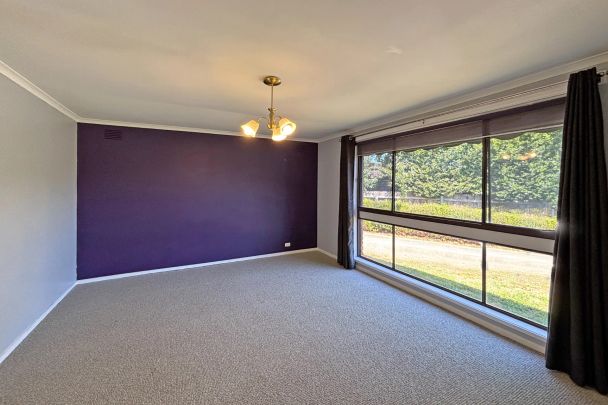 Quiet Location - Photo 1