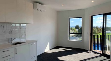 Near New Apartment Built To Perfection - Waterview - Photo 4