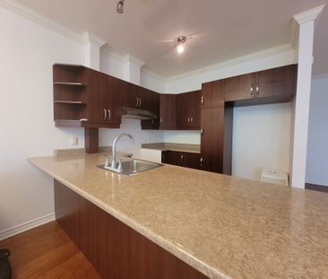546 Av. Gonthier, Montréal (Mercier, QC H1L - Photo 5