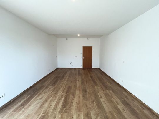 Prinzersdorf - charmante 2-Zimmer-Gartenwohnung zum Wohlfühlen - Photo 1